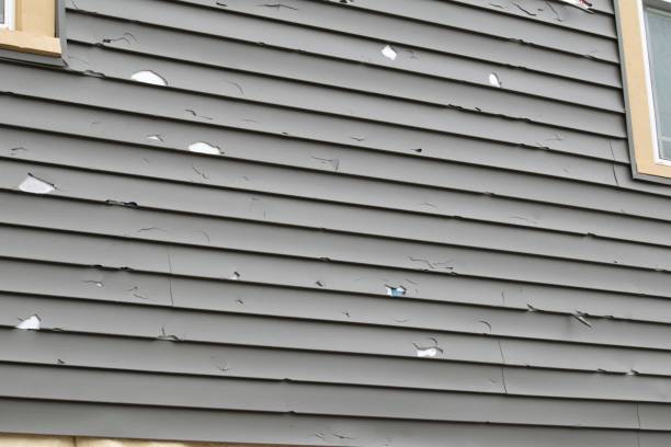 Best Historical Building Siding Restoration  in Avonmore, PA